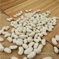 Types of white kidney beans Long Shape Crop 2017